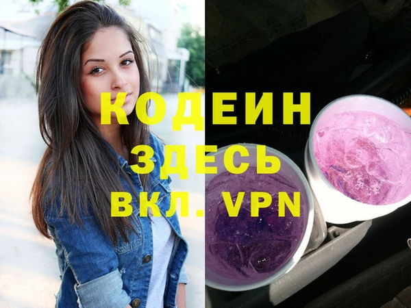 тгк Инсар