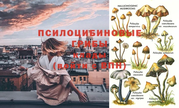 кокаин перу Иннополис