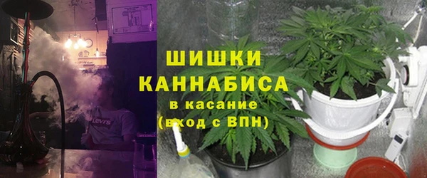 тгк Инсар